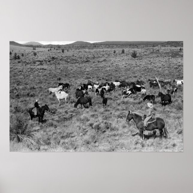 Fort Rock, Oregon Cowboy in the Devil's Garden Poster (Front)