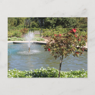 Fort Worth Garden Fountain Postcard