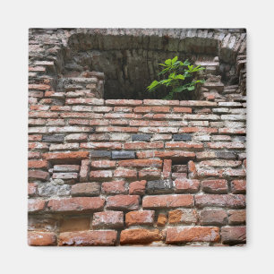 fortress wall window magnet