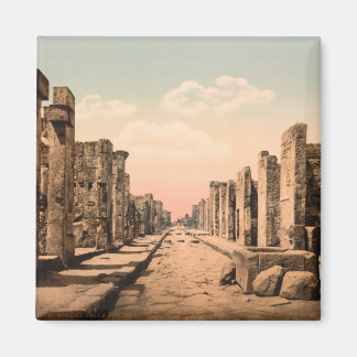 Fortuna Street, Pompeii, Campania, Italy Magnet