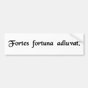 Fortune favours the bold. bumper sticker