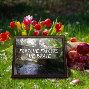 Fortune favours the brave proverb bridge poster