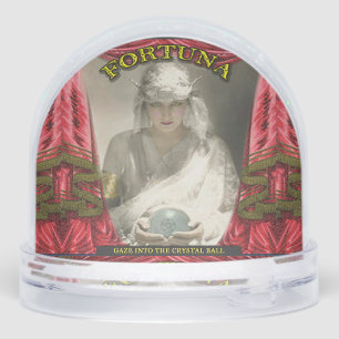 Fortune Teller Crystal Ball Snowglobe