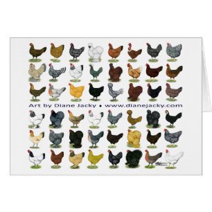 Forty-eight Hen Promo