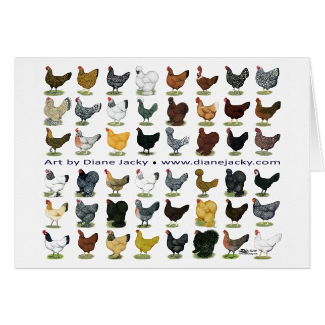 Forty-eight Hen Promo (Front Horizontal)