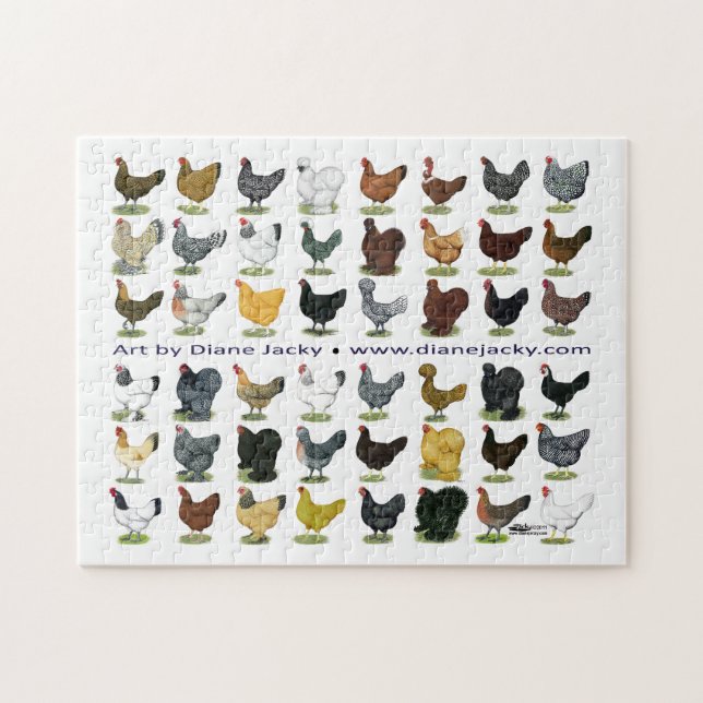 Forty-eight Hen Promo Jigsaw Puzzle (Horizontal)