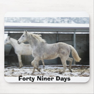 Forty Niner Days Snow Day Mouse Mat
