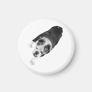 Forward Step Dog Adds Momentum To Holiday Spaces Magnet