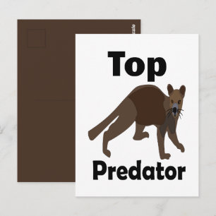 Fossa Madagascar Carnivore Top Predator Postcard