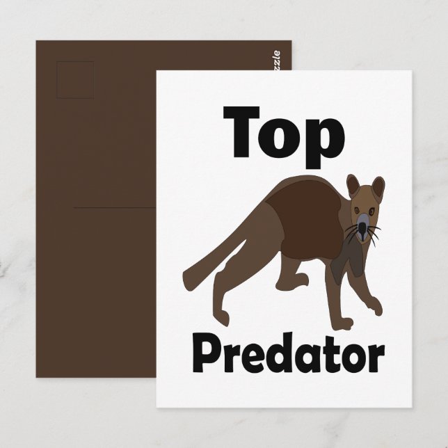 Fossa Madagascar Carnivore Top Predator Postcard (Front/Back)