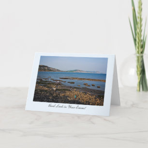 Fossil Beach, Good Luck in Your Exams Card