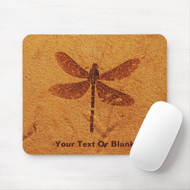Fossil Dragonfly Mouse Mat (With Mouse)