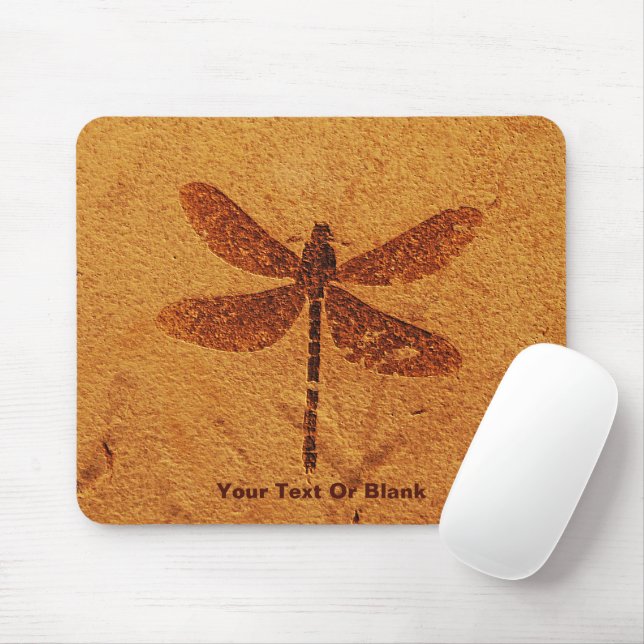 Fossil Dragonfly Mouse Mat (With Mouse)