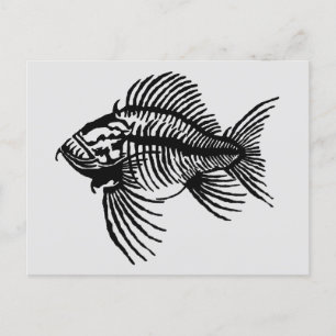 Fossil Fish Postcard