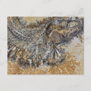 Fossil Fish Postcard
