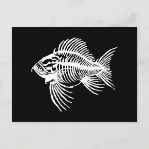 Fossil Fish Postcard