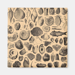 Fossil Fridge Magnet