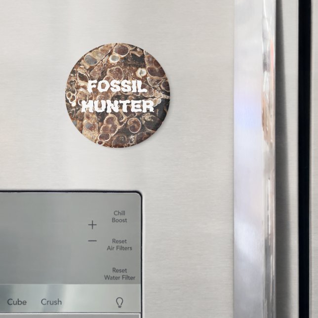 Fossil Hunter Turritella Agate Image Magnet (In Situ (Fridge))