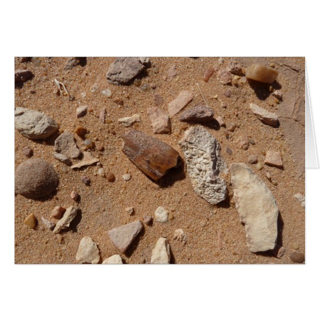 Fossil in the dessert (Front Horizontal)