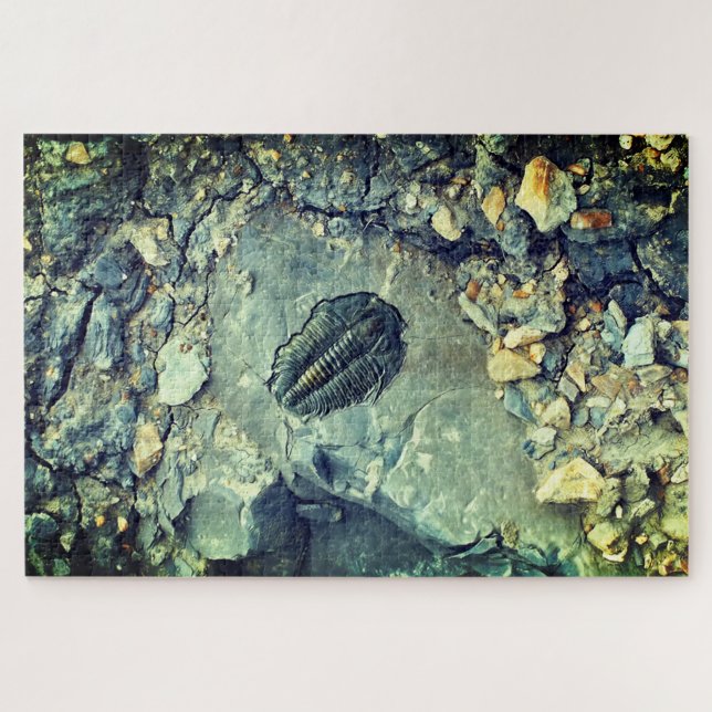Fossil Jigsaw Puzzle (Horizontal)