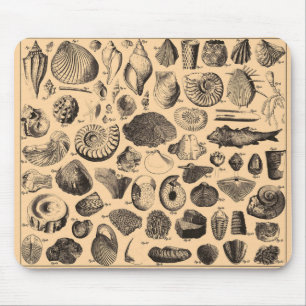 Fossil Mousepad