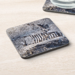 Fossil Nautiloid Cephalopod Ancient Sea Mollusc Coaster