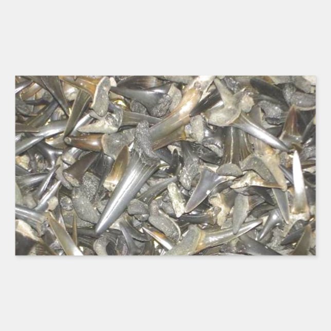 Fossil shark teeth pattern rectangular sticker (Front)
