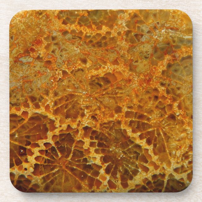 Fossilised coral natural jasper gemstone coaster (Front)