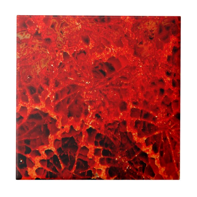 Fossilised coral red dyed stone tile (Front)