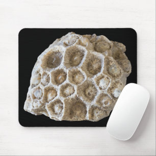 Fossilised Coral Rock Nature Photography Mouse Mat