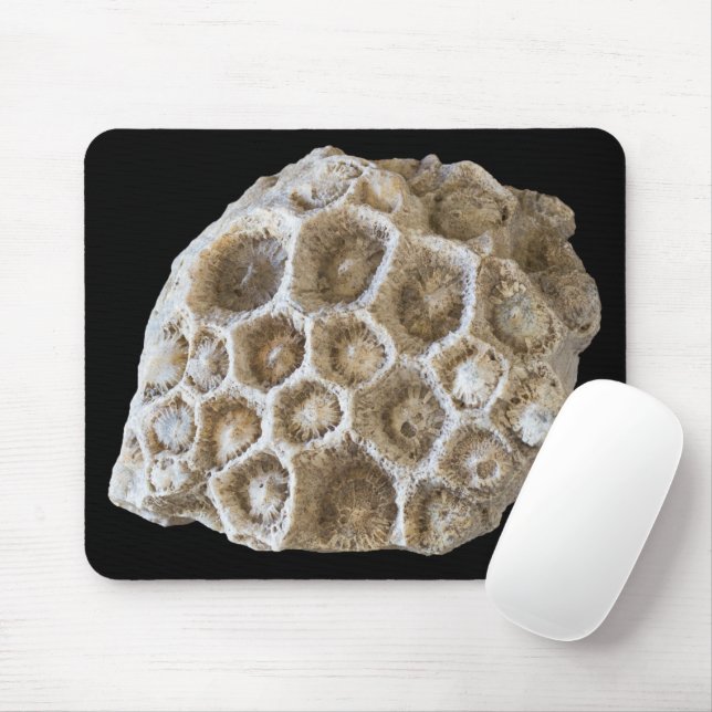 Fossilised Coral Rock Nature Photography Mouse Mat (With Mouse)