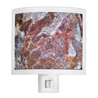 Fossilised Dinosaur Egg Night Light