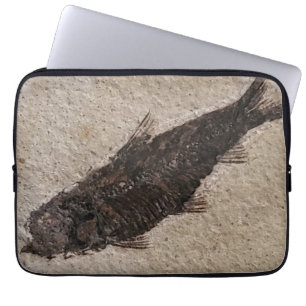 Fossilised Fish electronics case