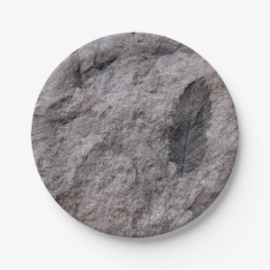 Fossilised Plant 350 Million Yr. Old Photo Print Paper Plate