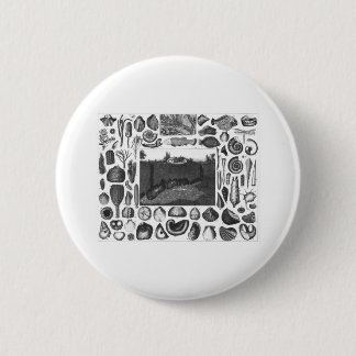 FOSSILS 6 CM ROUND BADGE