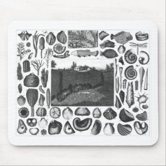 FOSSILS MOUSE MAT