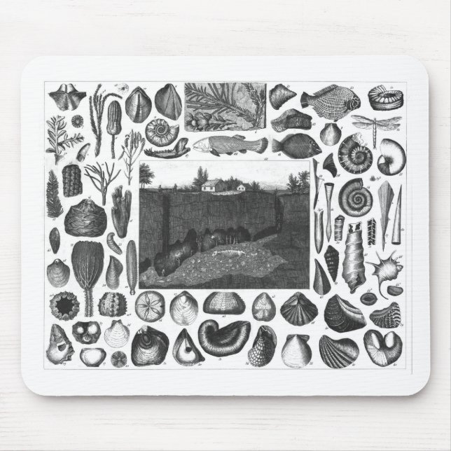 FOSSILS MOUSE MAT (Front)