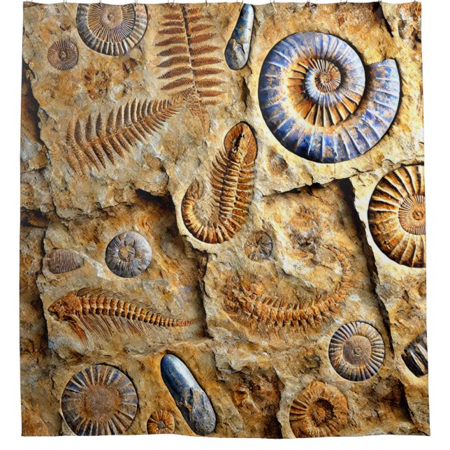 Fossils Shower Curtain (Front)