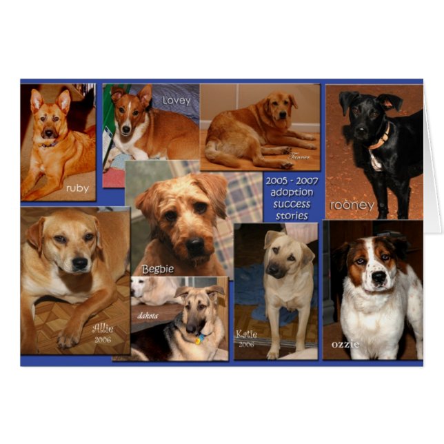 foster success stories2007 (Front Horizontal)