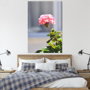 Fotografiqqq wall art decor