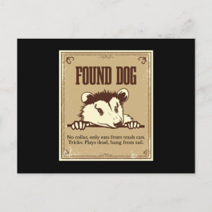 Found Dog Opossum Gopher Postcard