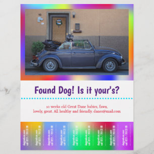 Found Dog Tear Off colourful  Flyer