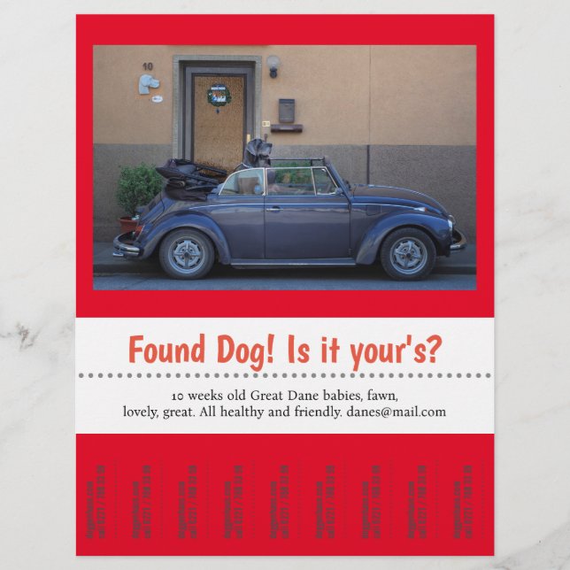 Found Dog Tear Off  Flyer (Front)