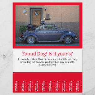 Found Dog Tear Off  Flyer