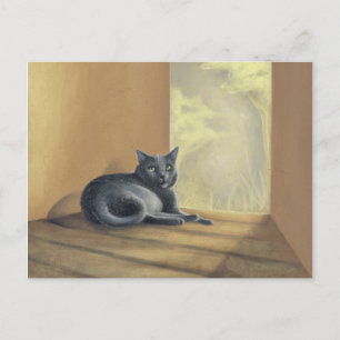 Found In Nature Postcard