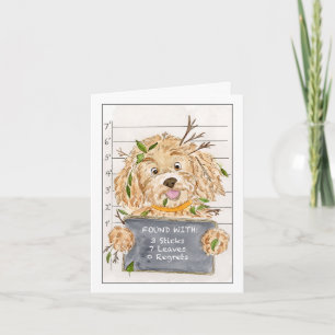 Found Safe Funny Missing Dog Thank You Card