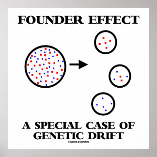 Founder Effect A Special Case Of Genetic Drift Poster
