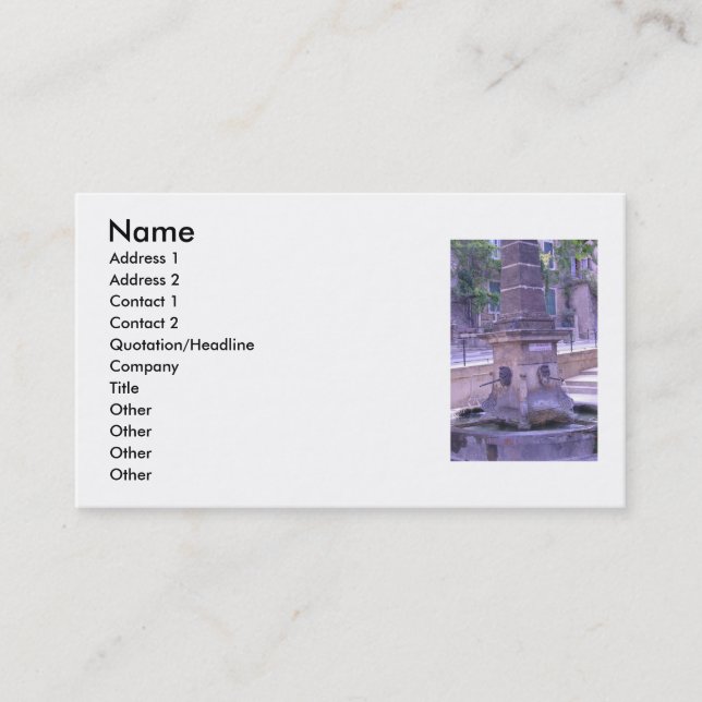 Fountain Business Card (Front)