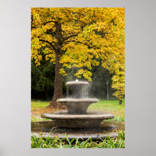 Fountain by a tree in fall, Germany Poster