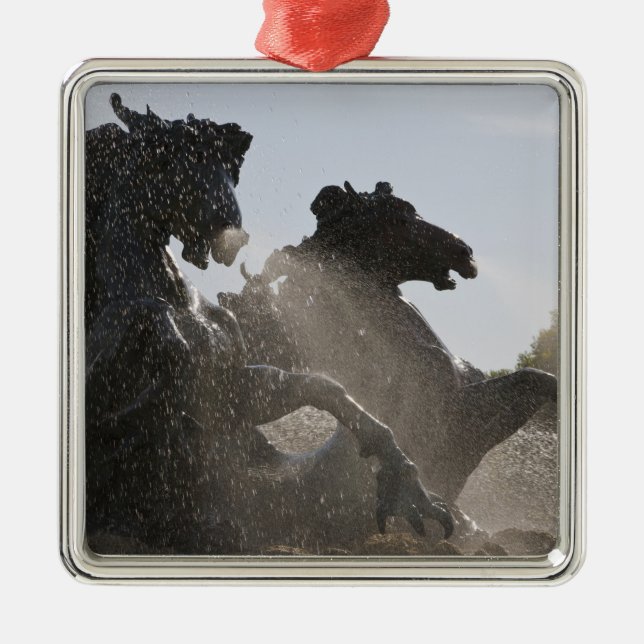 Fountain, Monument des Girondins, Bordeaux, Metal Tree Decoration (Front)